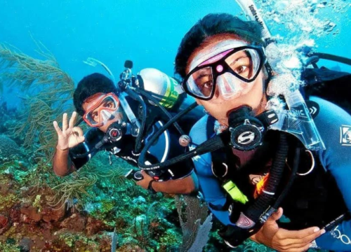 Scuba Diving At Grand Island